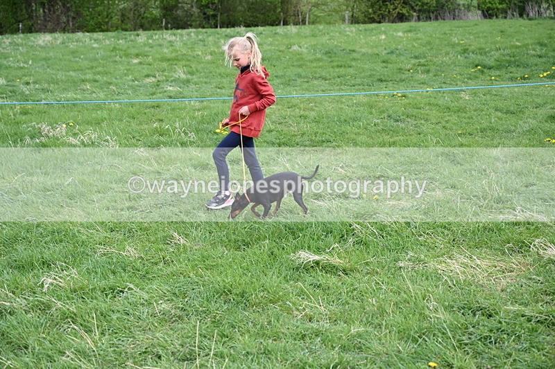 WJ6_8097 - Class 2 Best Pedigree