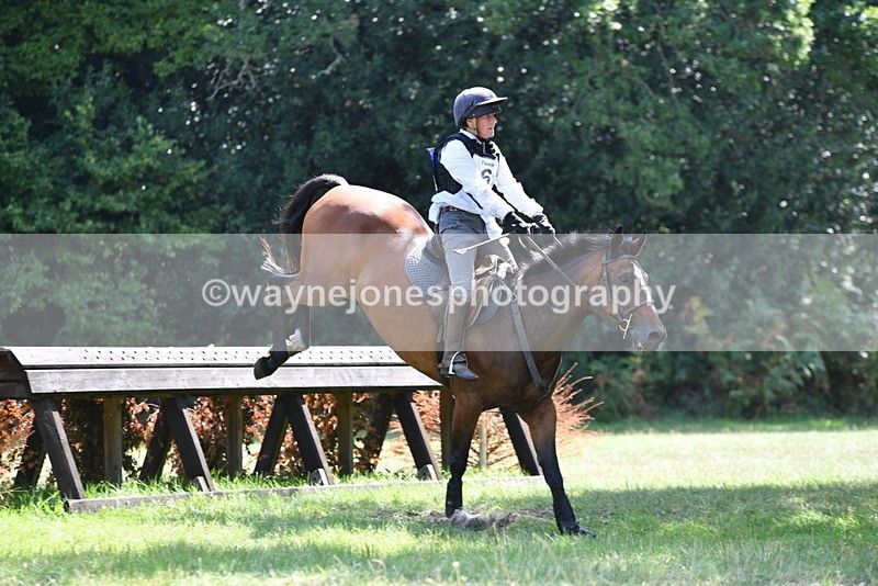 WJ5_3373 - XC Time 13:30 to 14:00
