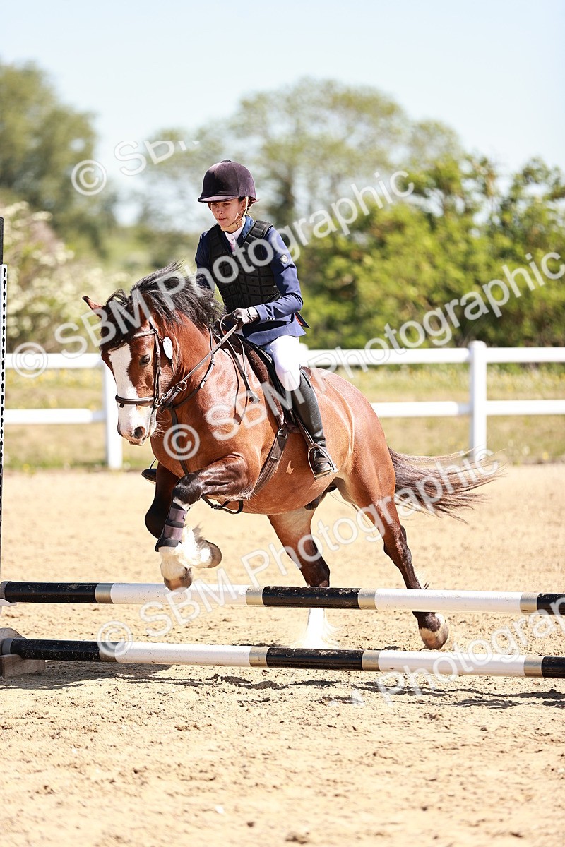 SBM_006988 - Class 2 - 50cm