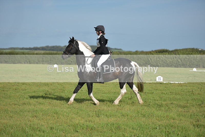 RAY_7607 - Class 2B: Trekenning Open: Dressage