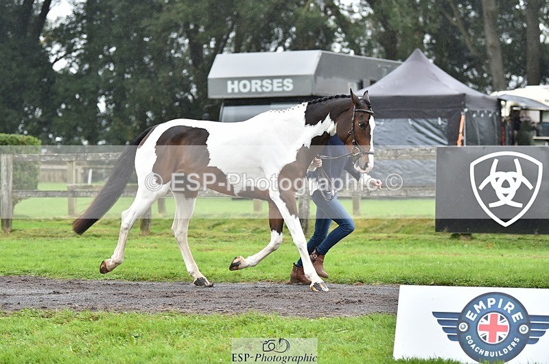 231018-122426-00270 - 033-COUNTRY.TIGER.LILLY-Milla.Read-TrotUp