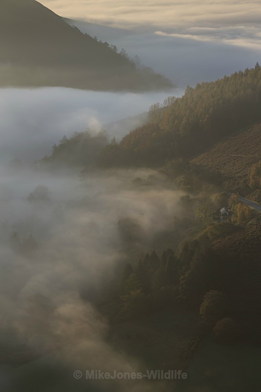 Misty morning, Llangollen, North Wales - ANGLESEY @ NORTH WALES LANDSCAPE PHOTOGRAPHY
