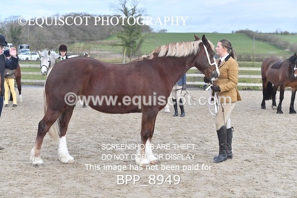 BPP_8949 - RING 2 - M&M