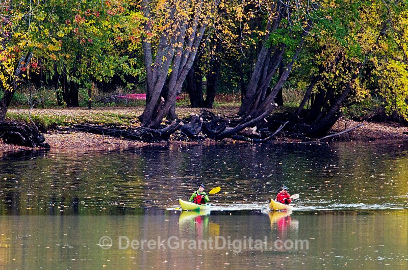 Autumn Kayak - Hampton New Brunswick Canada - Autumn Foliage