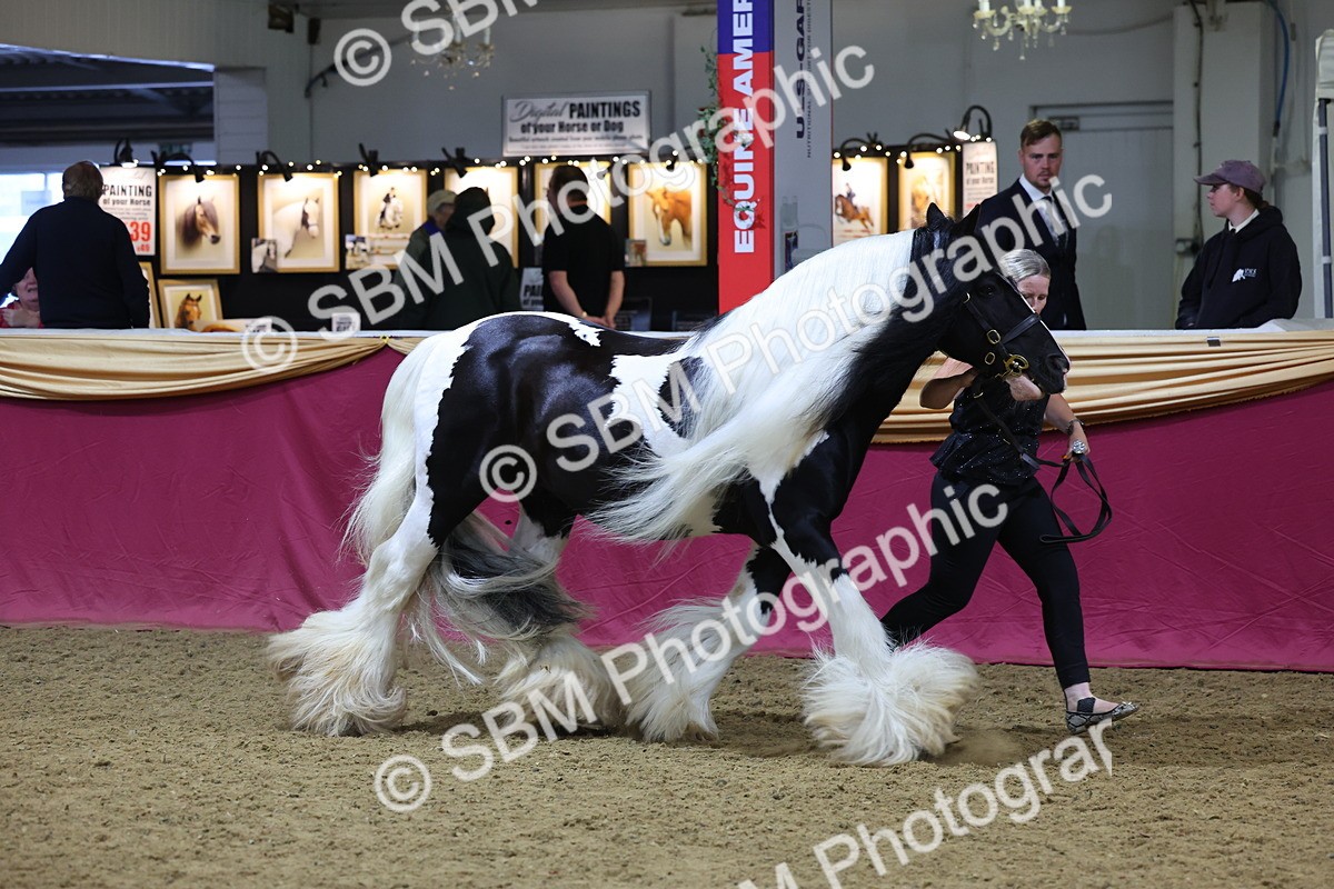 SBM_21029 - Class 902 - Supreme Final IH Veteran