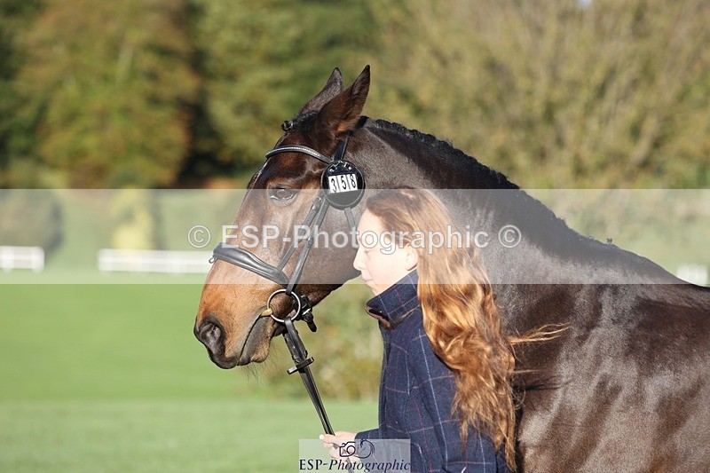 241027-084729-14823 - 358-Jessica.Meyer-LACKAGHMORE.VANDANGO