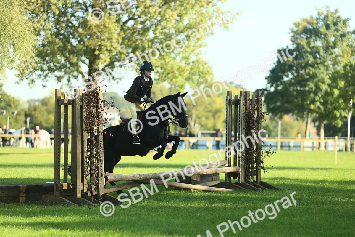 SBM_36313 - S29 - Novice & Newcomers Working Hunter Pony
