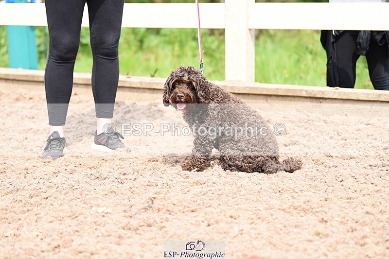 240518A-115220-00852 - Cls 2 Prettist Bitch