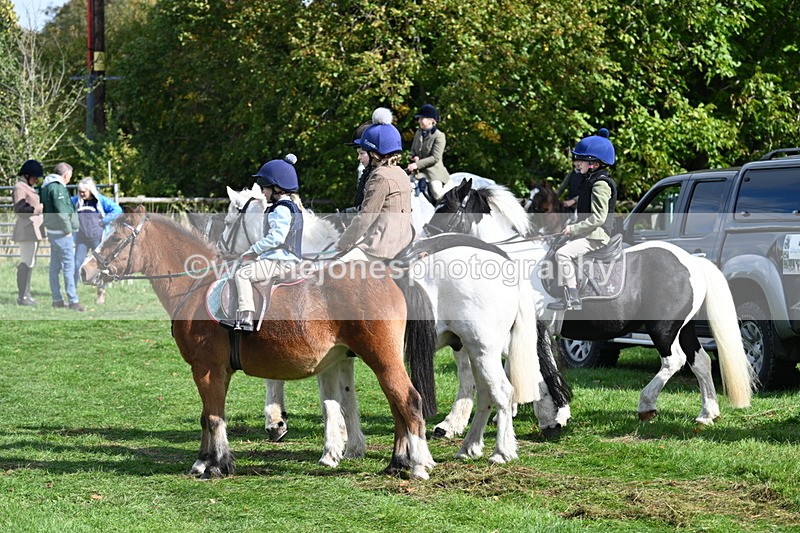 WJ7_5124 - Meet