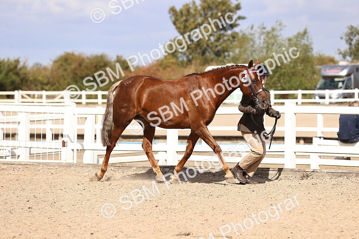 SBM_14278