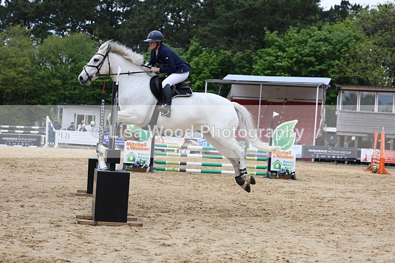3E7A6368 - Class 4: Senior British Novice/90cm open