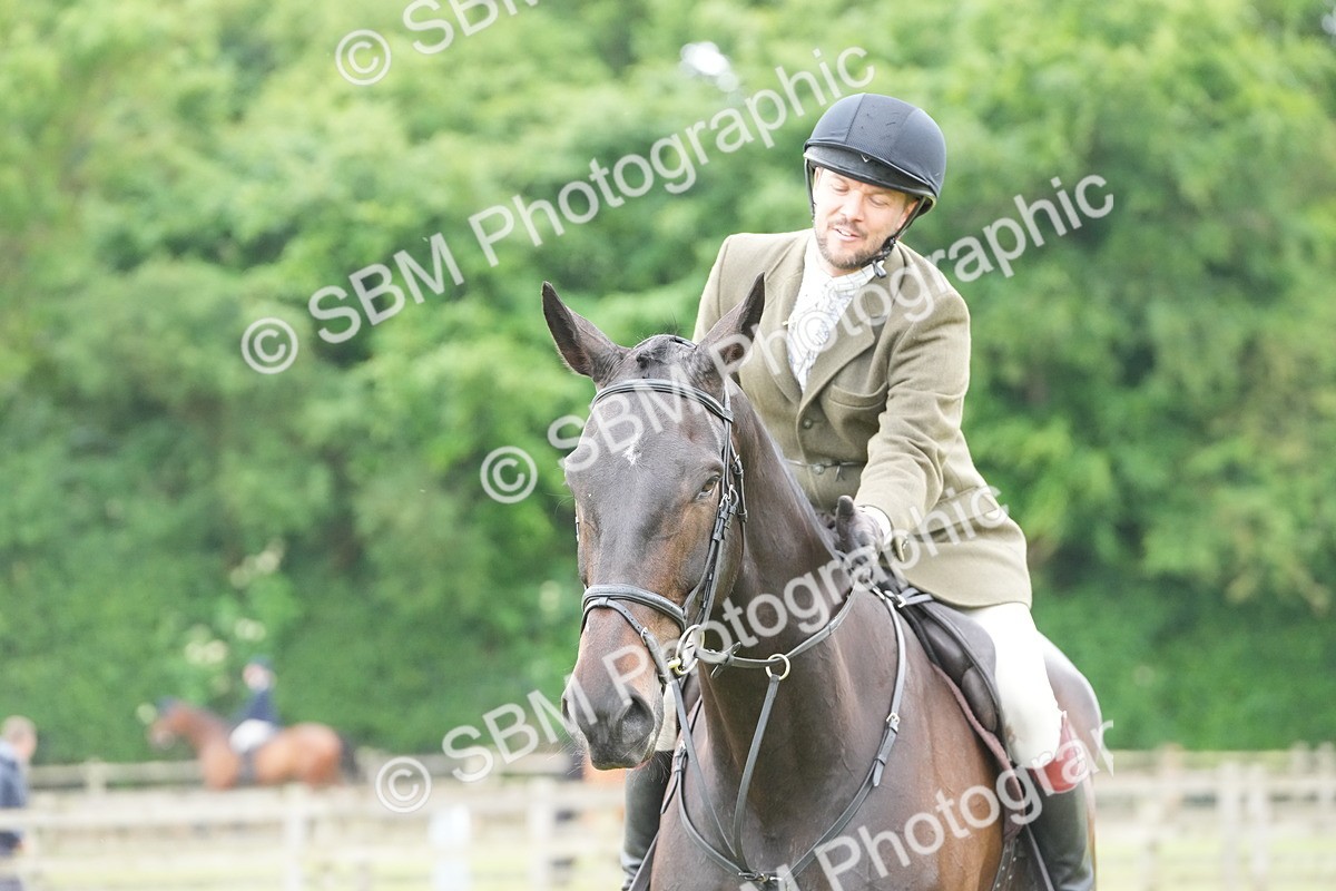SBM_12700 - Class 97-98 - LIHS BSHA Rising Star Working Show Horse Hunter