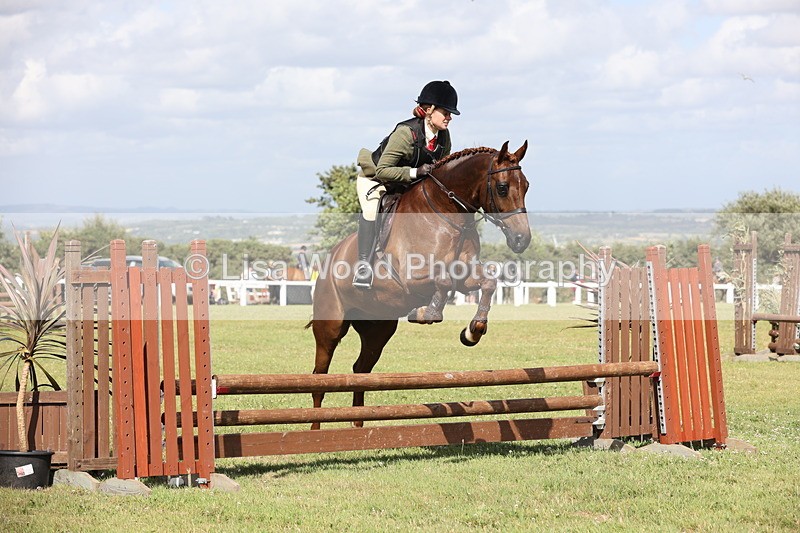 JPP_2541 - Class 20: Working Hunter 70cm