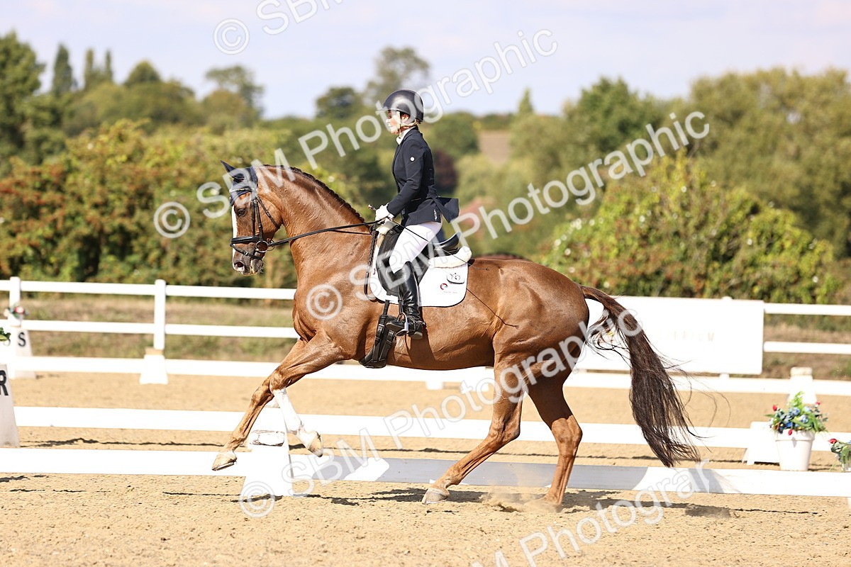 SBM_015249 - Class 8 - Medium 5