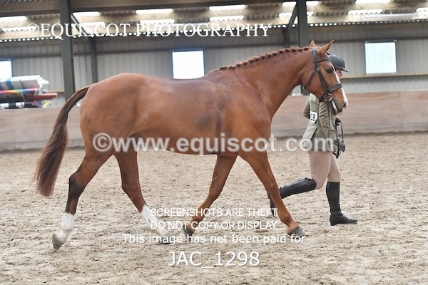 JAC_1298 - CLASS 8 BHS Scotland Riding Club Working Hunter Qualifier (1.00m)
