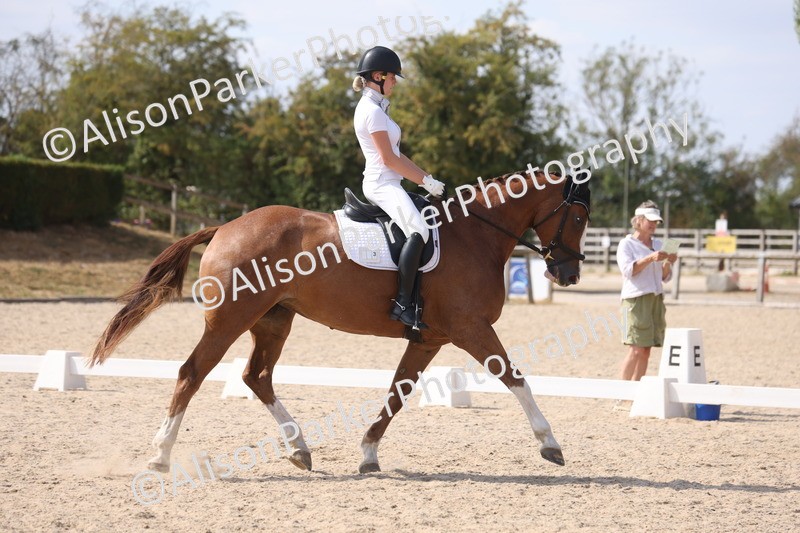 20260815-1141 - Class 6 - Novice 2