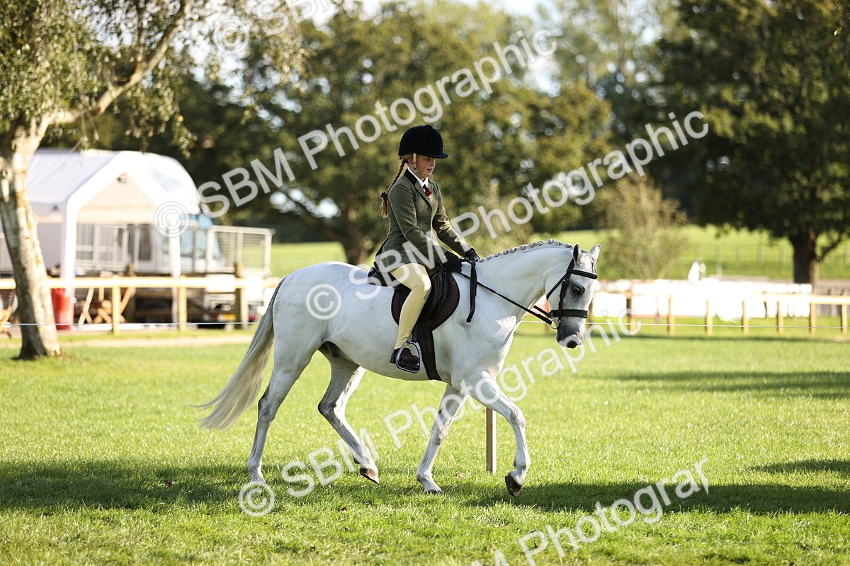 SBM_29349 - S7 - Novice & Newcomers Ridden Pony