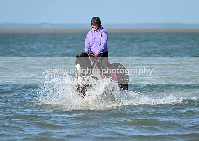 WJ7_3403 - Kellie & Churchill ... do Hayling Island 25-08-24