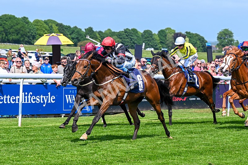 270526-Race 2-Out Of This World-2338 - Race 2 14.45pm Tigers Trust Restricted Novice Stakes