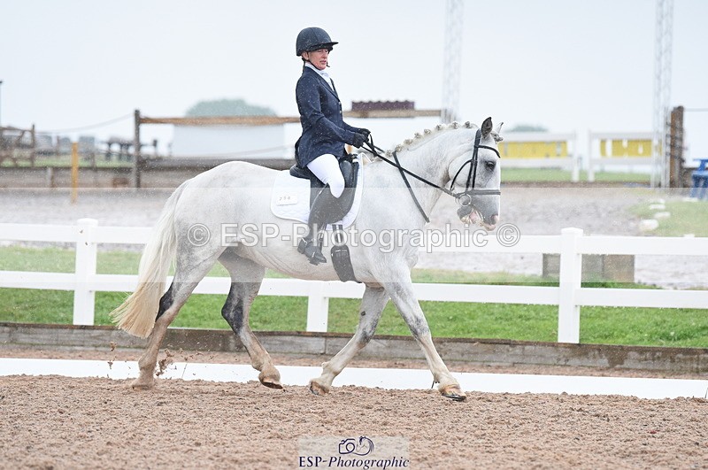 230708A-123752-01755 - Prelim 7