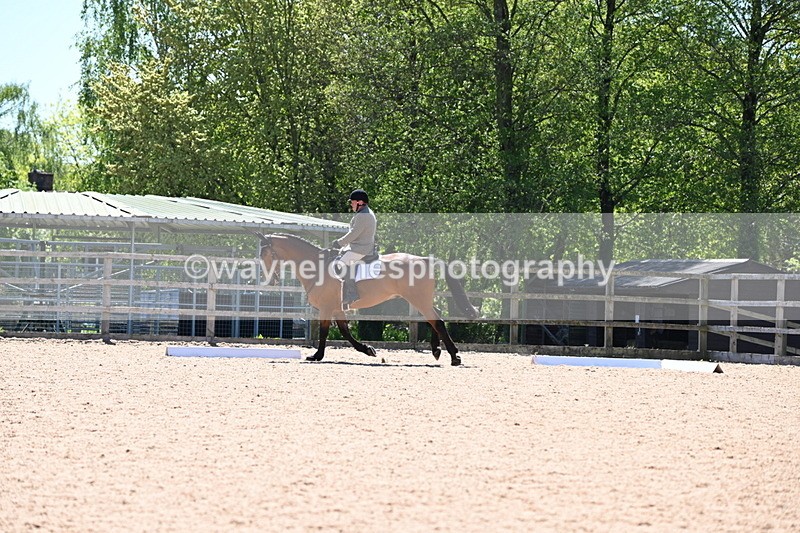 WJ6_0972 - Class 3 time 13:10 to 13:22