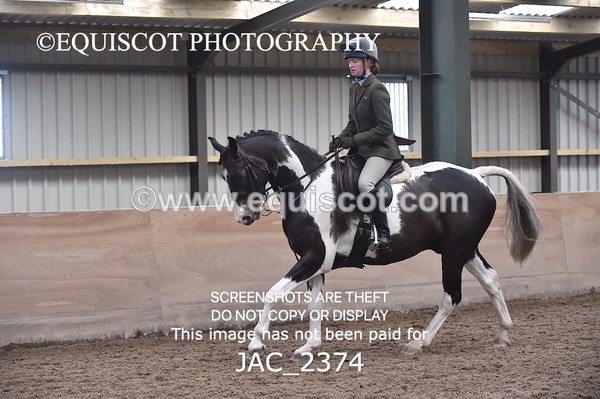JAC_2374 - CLASS 3 Intermediate Working Hunter