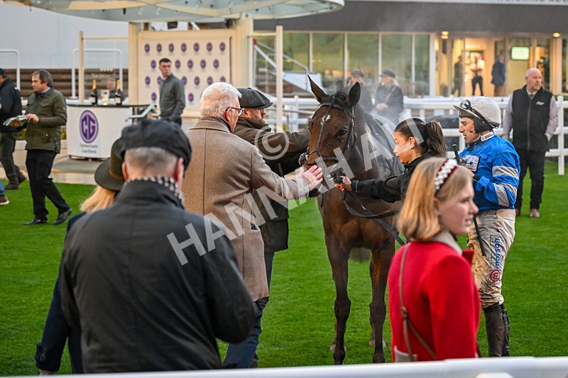 151125-Race 7-Divine Diva-4818 - Race 7