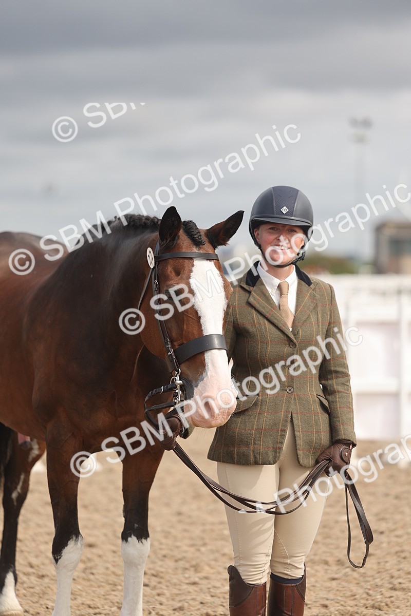 SBM_04429 - Class 18 - Handsomest Gelding (IH or Ridden)
