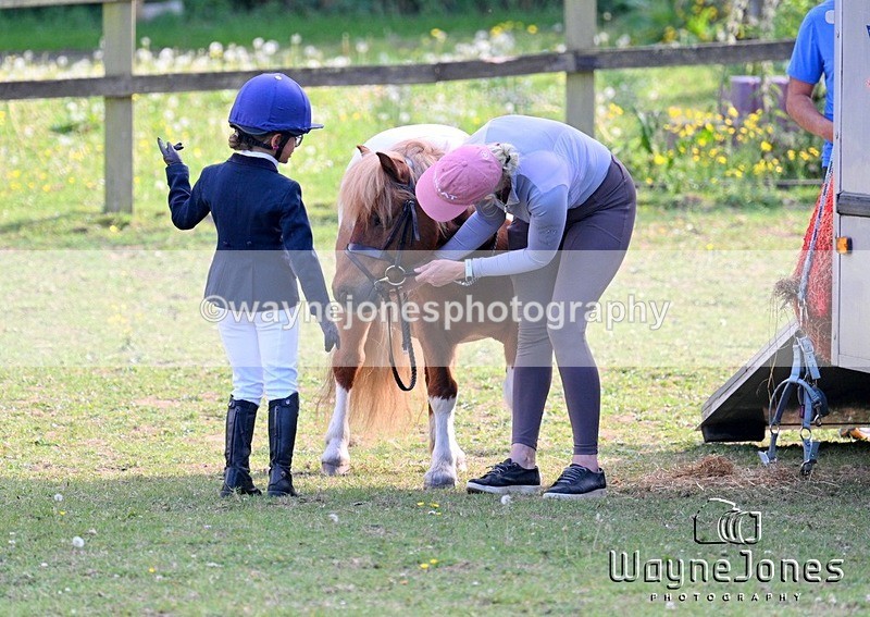 WJ7_4000 - CRC Evening Dressage at Checkingon 19-06-25