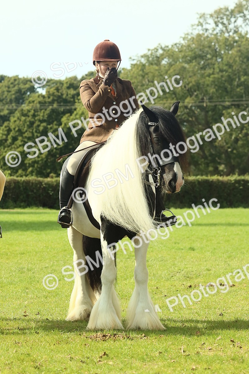 SBM_68949 - S58 - Mini Show Cob Ridden