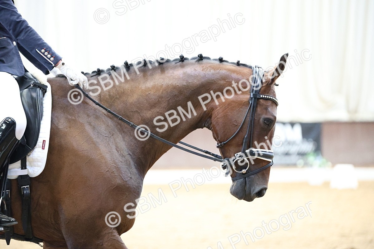 SBM_002116 - Class 5 - Novice 6 Gold - 9.00-10.10