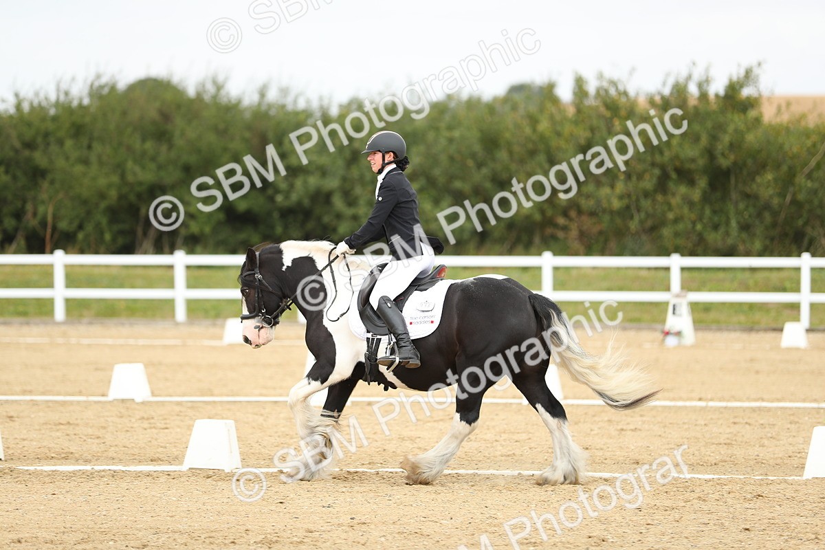 SBM_016451 - Class 13 - Novice 23 - 11.25-12.35