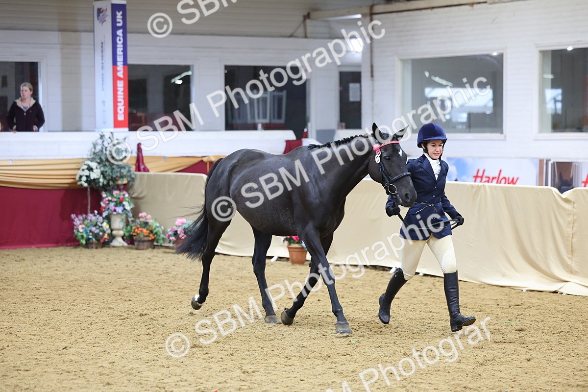 SBM_21101 - Class 902 - Supreme Final IH Veteran