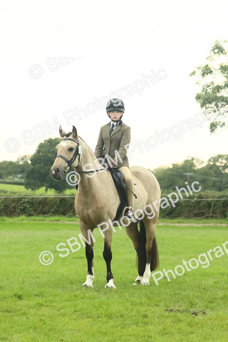 SBM_73973 - S 61 - Show Pony & Show Hunter Pony Ridden