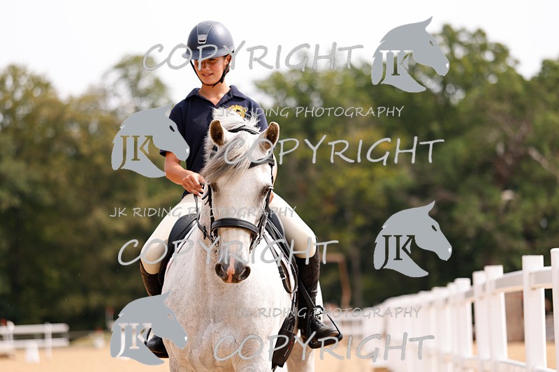 _R6A2747 - Dressage Morning