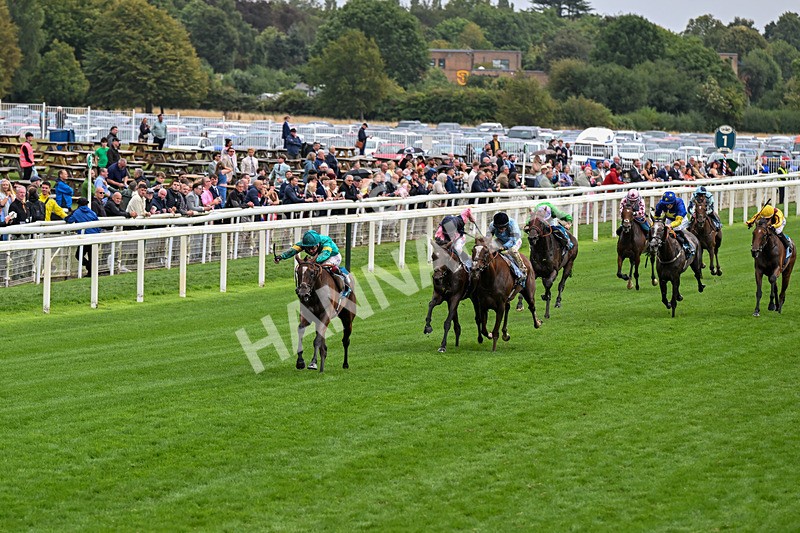 200826-Race 5-Prizeland-0625 - Race 5 16.10pm British EBF & Sir Henry Cecil Galtres Stakes