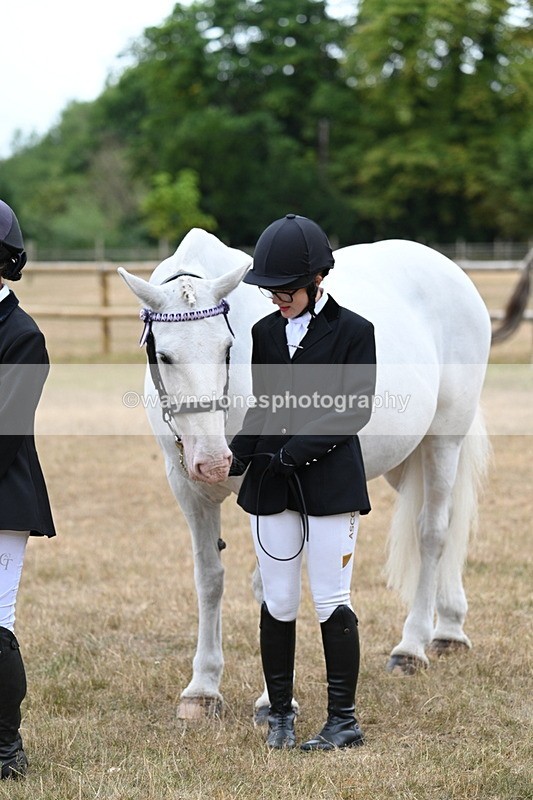 WJ7_9184 - Class 4a Prettiest Mare 14.2hh and over