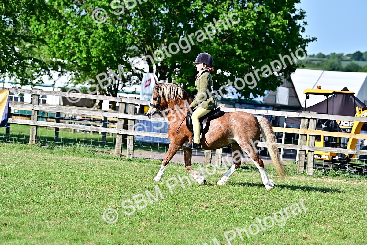 SBM_19857 - Class 103 - 105 - TSR Ridden Amateur of the Year Plaited Ponies