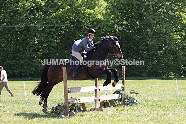 IMG_4551 - Working Hunter