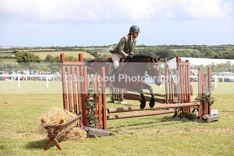 JPP_2054 - Class 19: Working Hunter 60cm