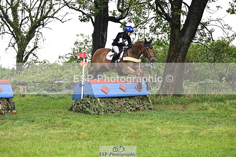 250418-131902-04118 - 205-Millie.Stoneman-V8.CHESTER