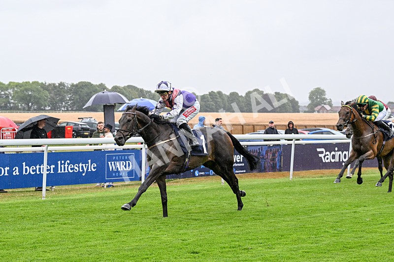 150725-Race 3-Time Tells All-0365 - Race 3