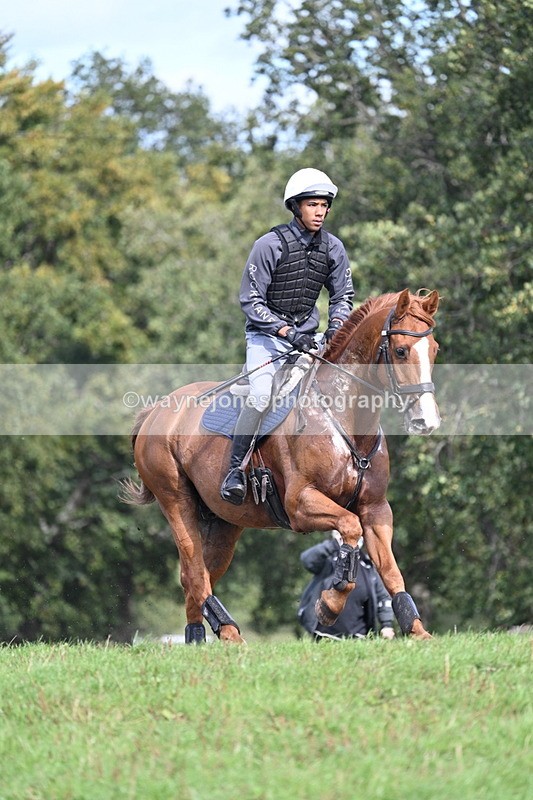 WJ7_1410 - Time 12:34 to 13:16