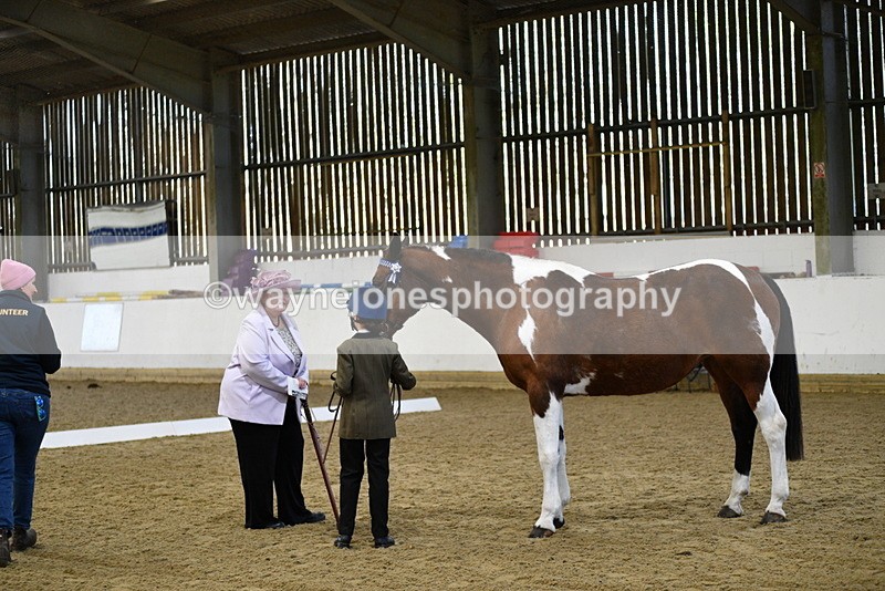 WJ5_3808 - Class 5 In Hand Veterans