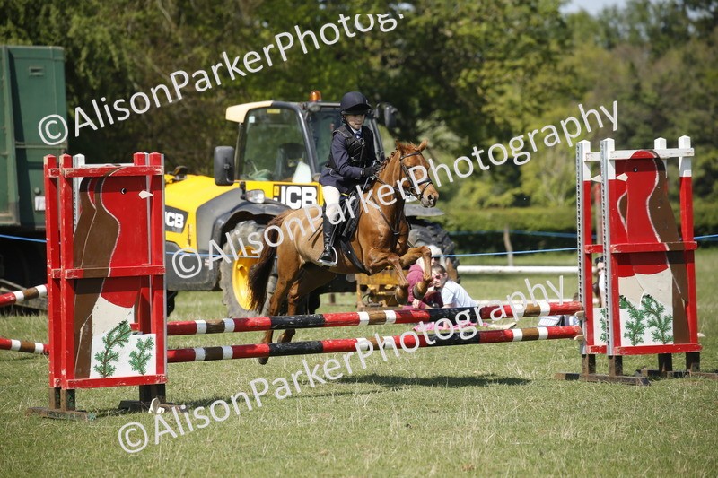 20250427-2263 - Class 13 - Novice Jumping 60cm