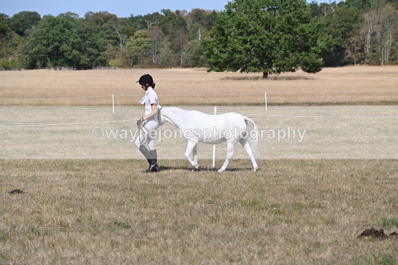 WJ6_9426 - Class 40 Cheekiest Pony/Horse