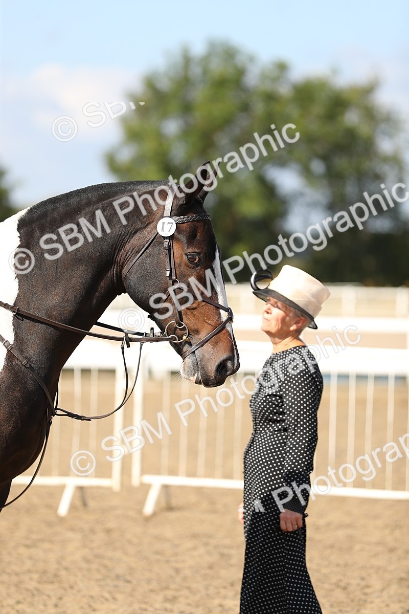 SBM_03184 - Class 44 Riding Club Horse/ Pony