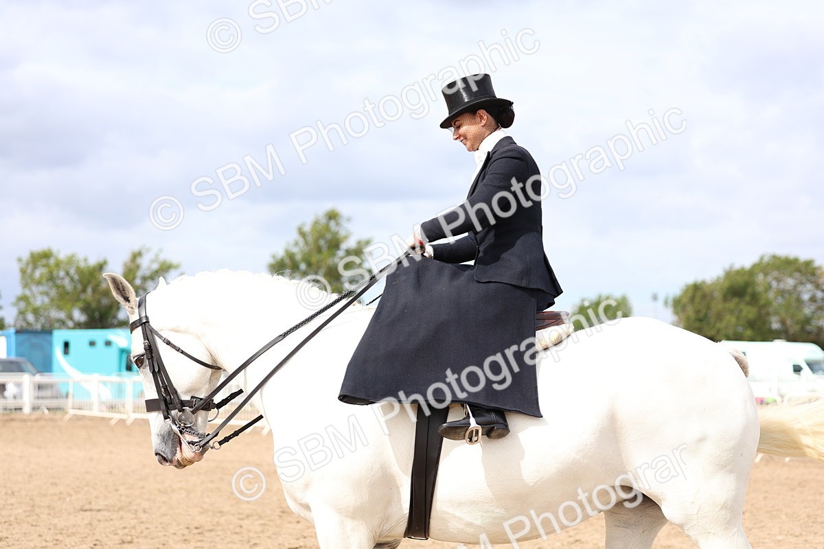SBM_03463 - Class 24 - SSA Concours d'elegance (any age)