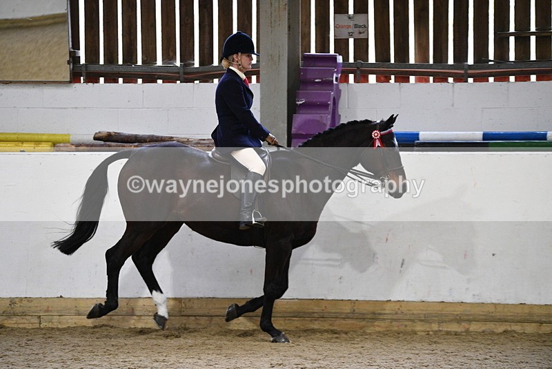 WJ5_7866 - Class 13 Ridden Part Breed