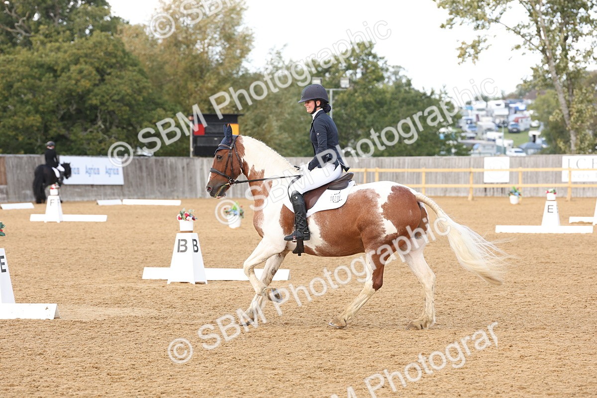 SBM_47472 - D12 - Small Tour Championship prelim 2